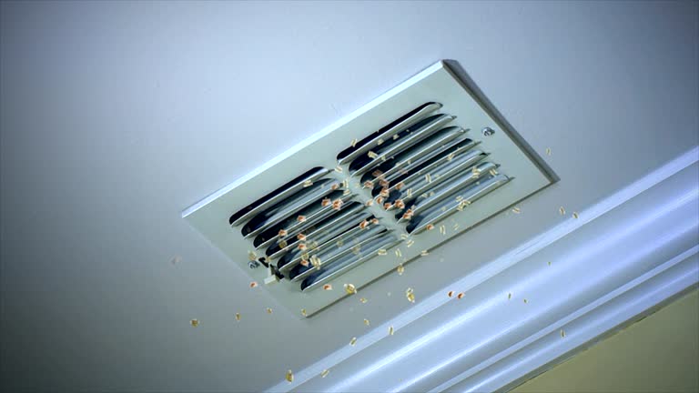 Best HVAC Air Duct Cleaning  in Kettle Falls, WA
