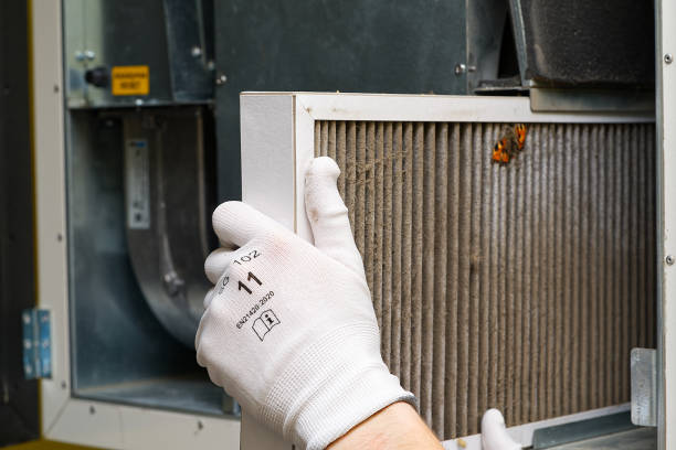 Best Air Duct Mold Removal  in Kettle Falls, WA