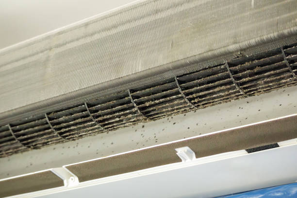 Best Emergency Air Duct Cleaning  in Kettle Falls, WA